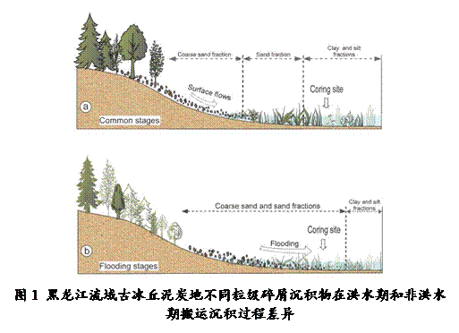 文本框:图1 黑龙江流域古冰丘泥炭地不同粒级碎屑沉积物在洪水期和非洪水期搬运沉积过程差异