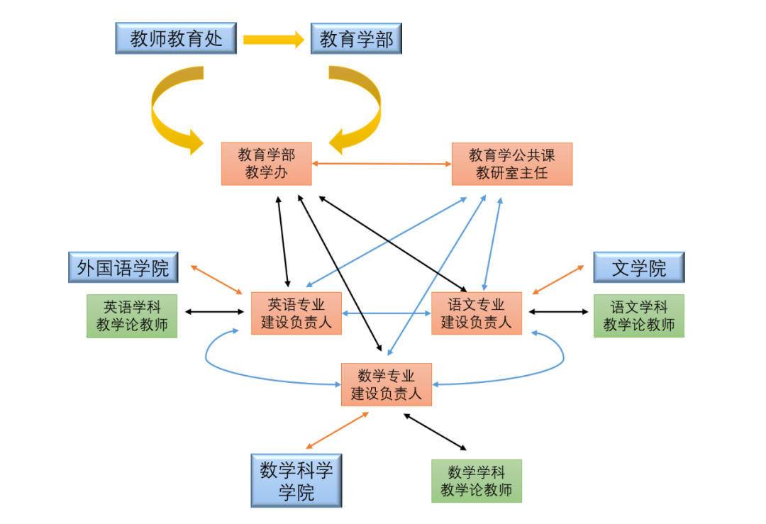 教育学部与专业学院认证工作联动机制图